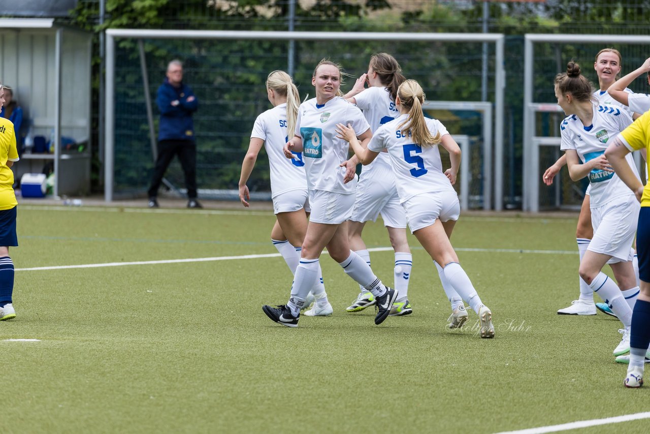 Bild 97 - F SV Eidelstedt - SC Alstertal-Langenhorn : Ergebnis: 2:7